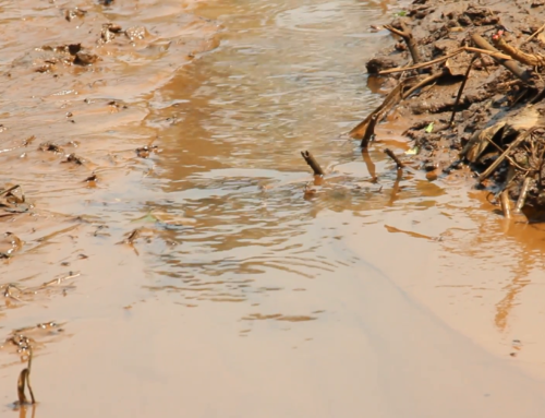 Загрязнение подземных вод в Беларуси